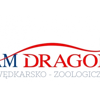 TeamDragon.pl